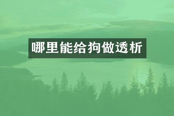 哪里能给狗做透析