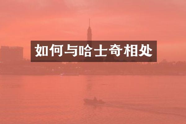 如何与哈士奇相处