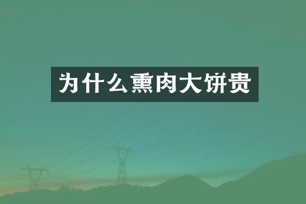 为什么熏肉大饼贵