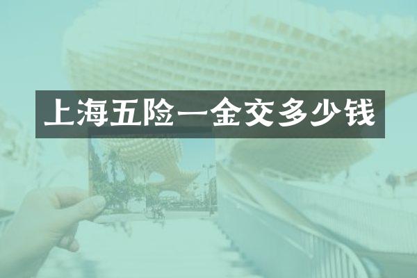 上海五险一金交多少钱