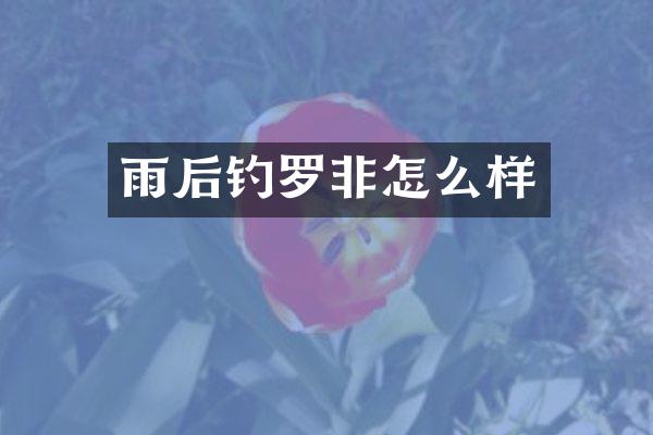 雨后钓罗非怎么样