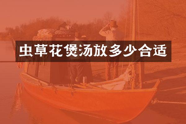 虫草花煲汤放多少合适