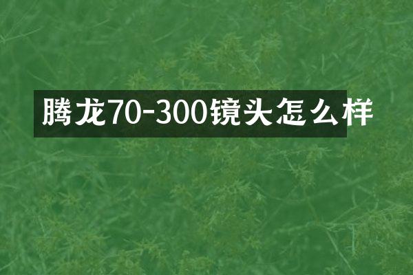 腾龙70-300镜头怎么样
