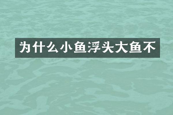 为什么小鱼浮头大鱼不