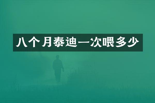 八个月泰迪一次喂多少