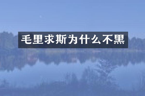 毛里求斯为什么不黑