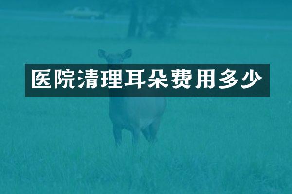 医院清理耳朵费用多少