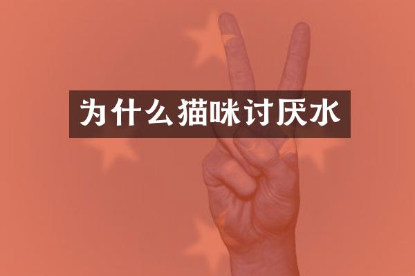 为什么猫咪讨厌水