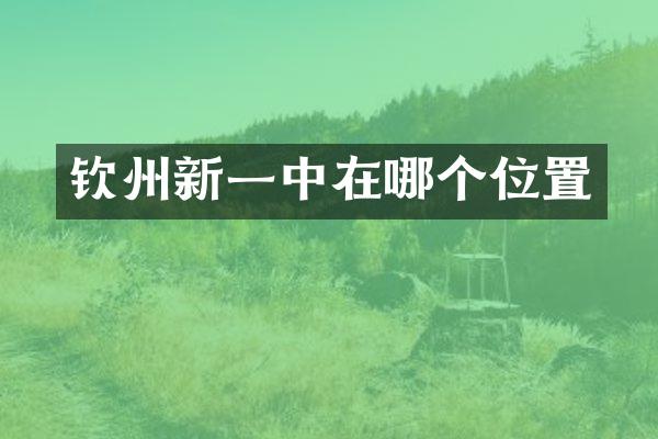 钦州新一中在哪个位置