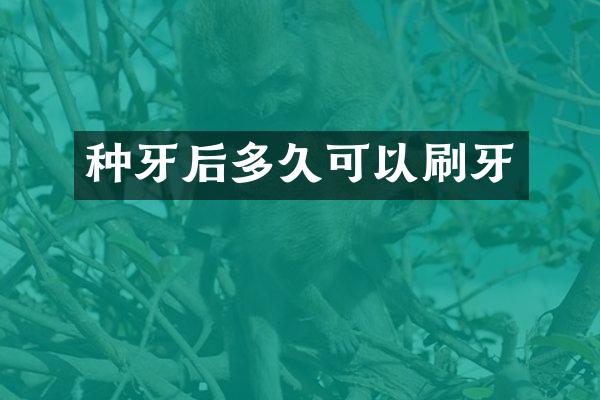 种牙后多久可以刷牙