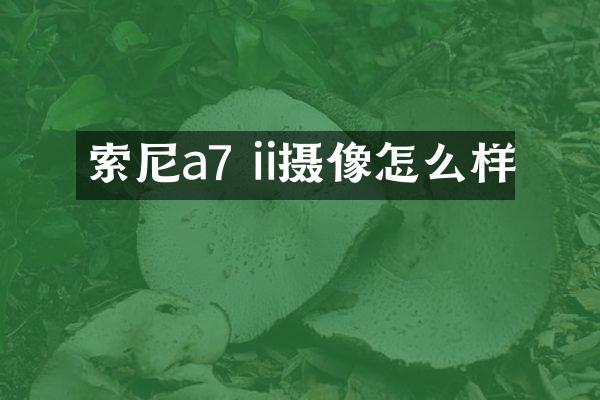 索尼a7 ii摄像怎么样