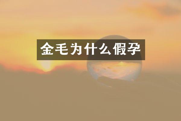 金毛为什么假孕