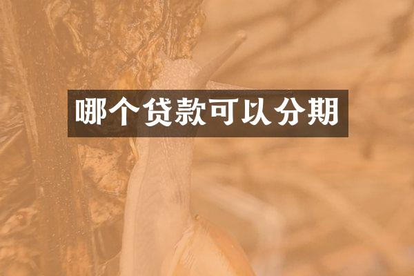 哪个贷款可以分期