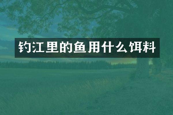 钓江里的鱼用什么饵料