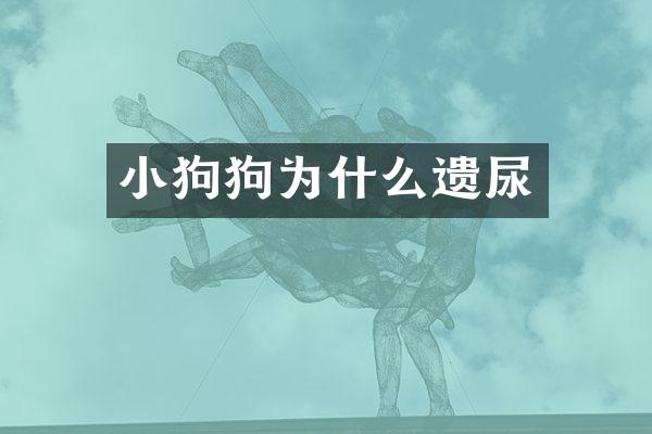 小狗狗为什么遗尿