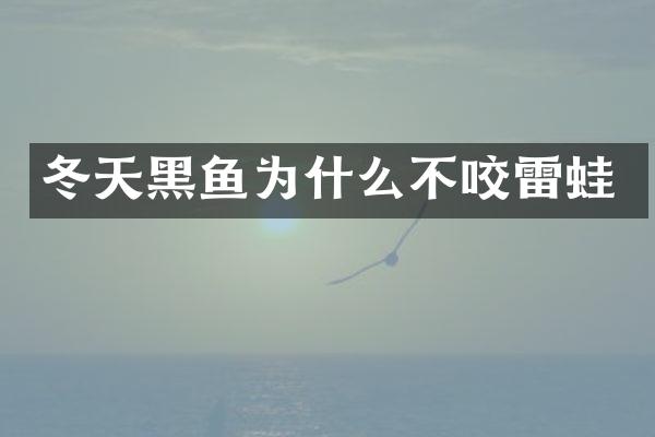 冬天黑鱼为什么不咬雷蛙