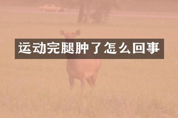 运动完腿肿了怎么回事