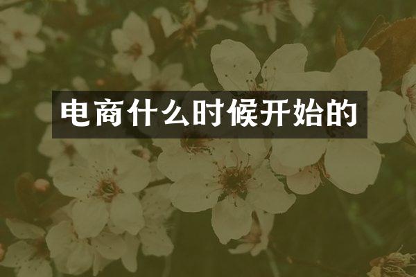 电商什么时候开始的