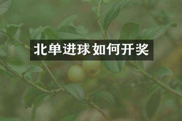 北单进球如何开奖