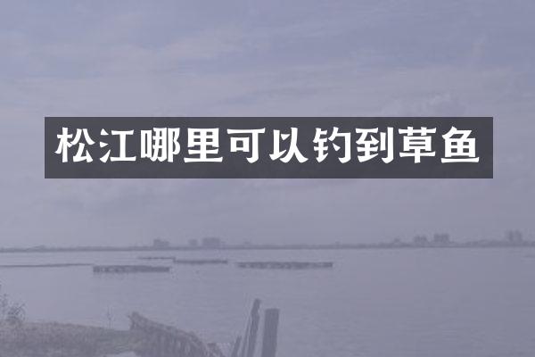 松江哪里可以钓到草鱼