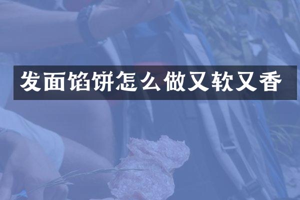 发面馅饼怎么做又软又香