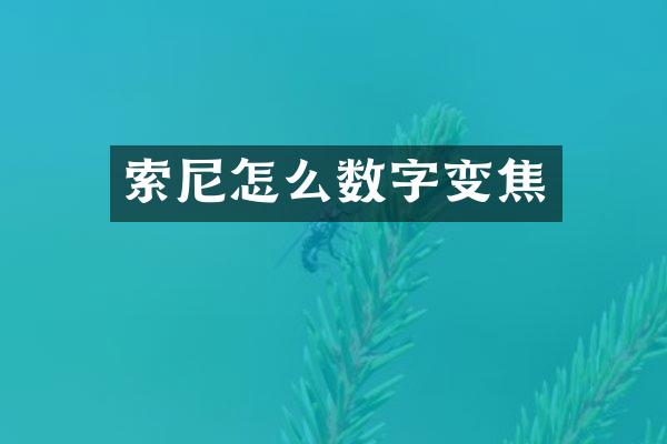 索尼怎么数字变焦