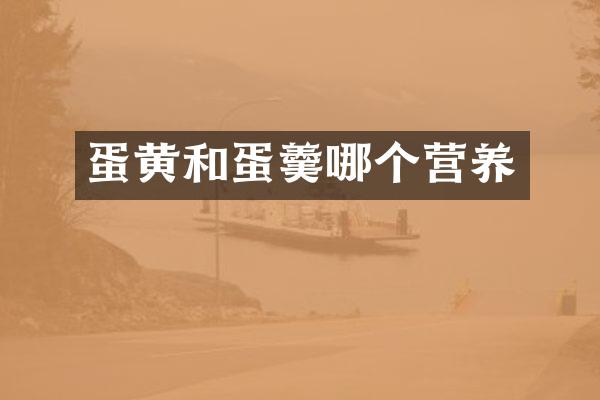 蛋黄和蛋羹哪个营养