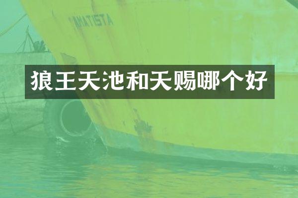 狼王天池和天赐哪个好