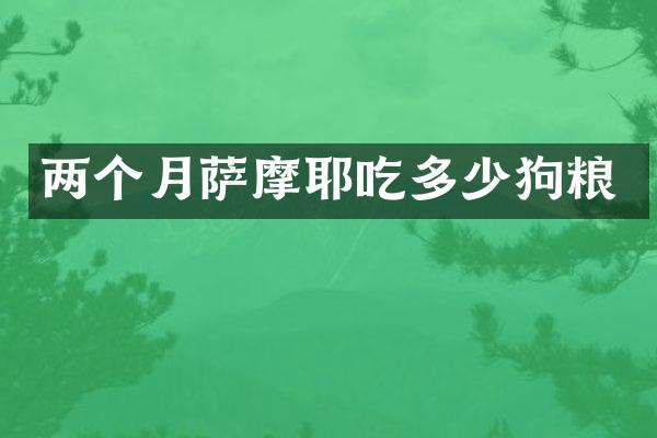 两个月萨摩耶吃多少狗粮
