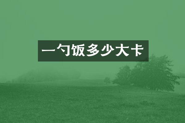 一勺饭多少大卡