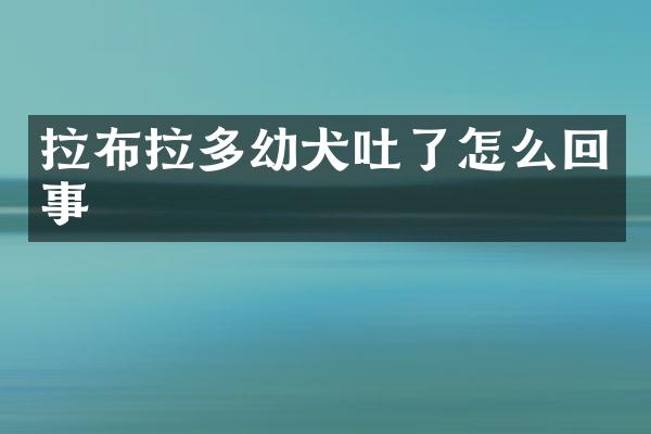 拉布拉多幼犬吐了怎么回事