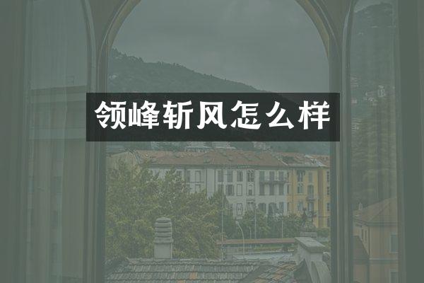 领峰斩风怎么样