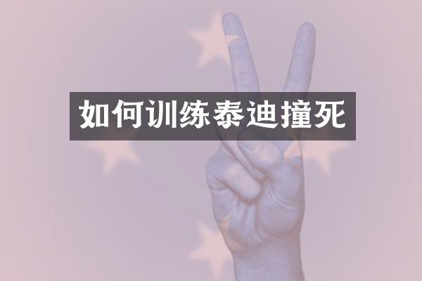 如何训练泰迪撞死