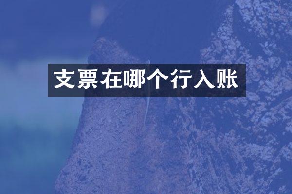 支票在哪个行入账