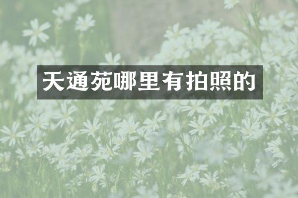 天通苑哪里有拍照的