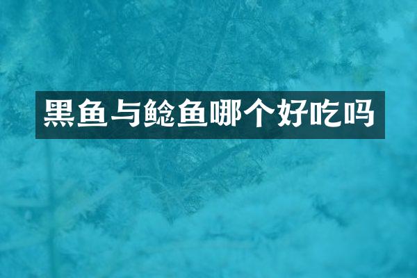 黑鱼与鲶鱼哪个好吃吗