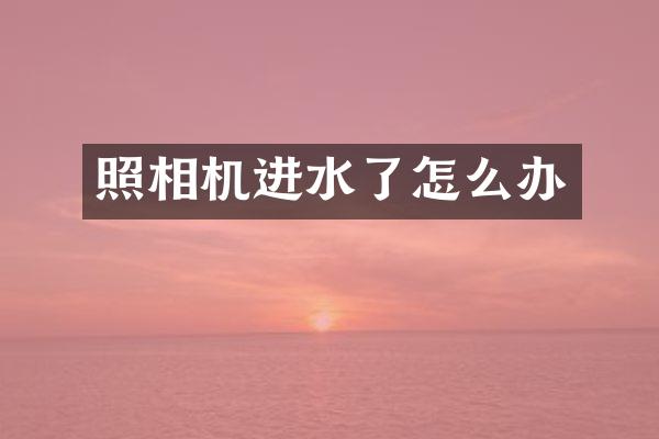 照相机进水了怎么办