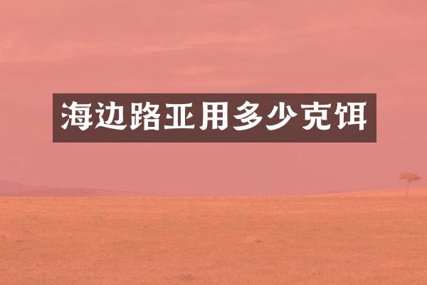 海边路亚用多少克饵