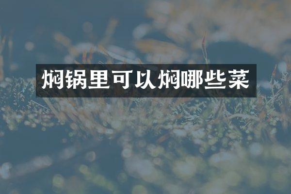 焖锅里可以焖哪些菜