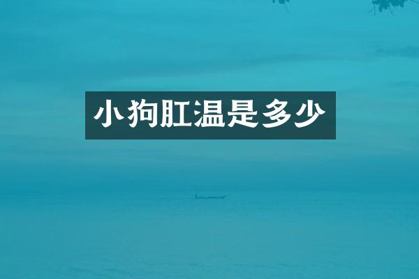 小狗肛温是多少