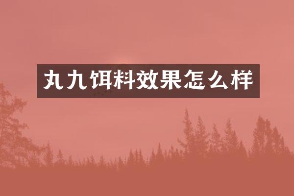 丸九饵料效果怎么样