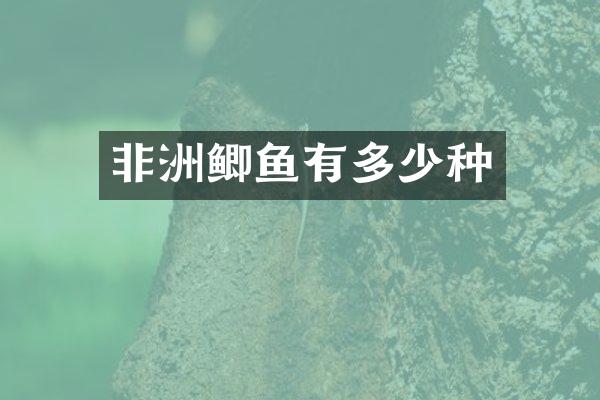 非洲鲫鱼有多少种