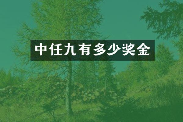 中任九有多少奖金