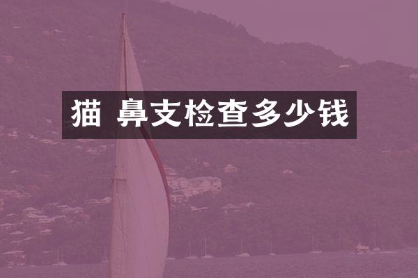 猫 鼻支检查多少钱