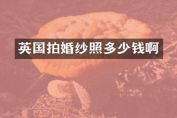 英国拍婚纱照多少钱啊