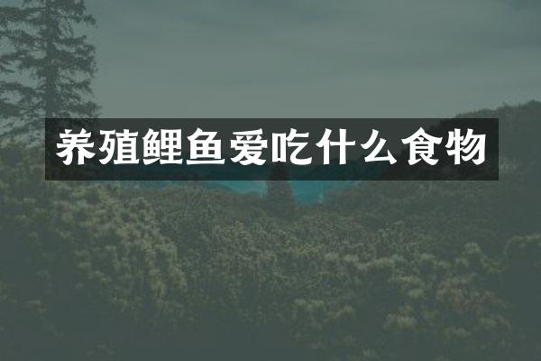 养殖鲤鱼爱吃什么食物