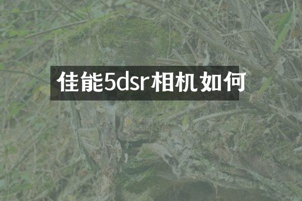 佳能5dsr相机如何