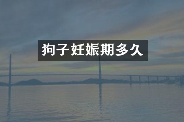 狗子妊娠期多久
