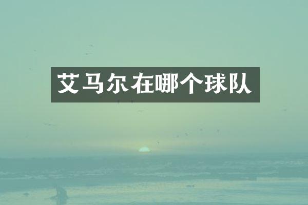 艾马尔在哪个球队