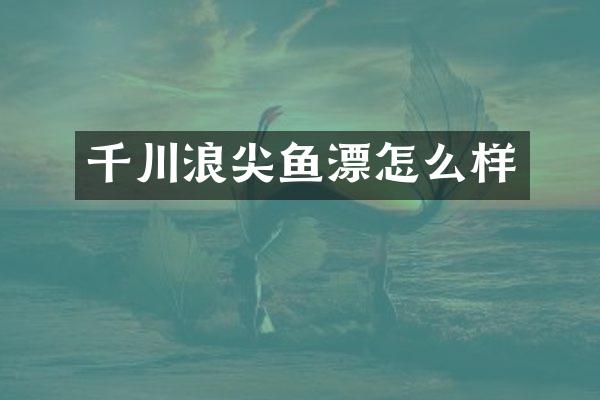 千川浪尖鱼漂怎么样